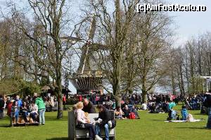 [P17] Keukenhof - moara de vânt » foto by makuy*
 - 
<span class="allrVoted glyphicon glyphicon-heart hidden" id="av614971"></span>
<a class="m-l-10 hidden" id="sv614971" onclick="voting_Foto_DelVot(,614971,3710)" role="button">șterge vot <span class="glyphicon glyphicon-remove"></span></a>
<a id="v9614971" class=" c-red"  onclick="voting_Foto_SetVot(614971)" role="button"><span class="glyphicon glyphicon-heart-empty"></span> <b>LIKE</b> = Votează poza</a> <img class="hidden"  id="f614971W9" src="/imagini/loader.gif" border="0" /><span class="AjErrMes hidden" id="e614971ErM"></span>
