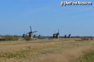 [P25] Kinderdijk - prima impresie » foto by makuy*
 - 
<span class="allrVoted glyphicon glyphicon-heart hidden" id="av614979"></span>
<a class="m-l-10 hidden" id="sv614979" onclick="voting_Foto_DelVot(,614979,3710)" role="button">șterge vot <span class="glyphicon glyphicon-remove"></span></a>
<a id="v9614979" class=" c-red"  onclick="voting_Foto_SetVot(614979)" role="button"><span class="glyphicon glyphicon-heart-empty"></span> <b>LIKE</b> = Votează poza</a> <img class="hidden"  id="f614979W9" src="/imagini/loader.gif" border="0" /><span class="AjErrMes hidden" id="e614979ErM"></span>