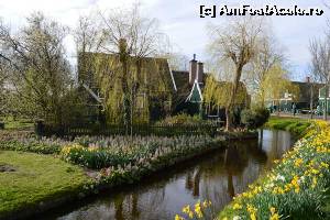 [P10] Zaanse Schans - » foto by makuy*
 - 
<span class="allrVoted glyphicon glyphicon-heart hidden" id="av623092"></span>
<a class="m-l-10 hidden" id="sv623092" onclick="voting_Foto_DelVot(,623092,3710)" role="button">șterge vot <span class="glyphicon glyphicon-remove"></span></a>
<a id="v9623092" class=" c-red"  onclick="voting_Foto_SetVot(623092)" role="button"><span class="glyphicon glyphicon-heart-empty"></span> <b>LIKE</b> = Votează poza</a> <img class="hidden"  id="f623092W9" src="/imagini/loader.gif" border="0" /><span class="AjErrMes hidden" id="e623092ErM"></span>