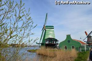 [P16] Zaanse Schans - » foto by makuy*
 - 
<span class="allrVoted glyphicon glyphicon-heart hidden" id="av623098"></span>
<a class="m-l-10 hidden" id="sv623098" onclick="voting_Foto_DelVot(,623098,3710)" role="button">șterge vot <span class="glyphicon glyphicon-remove"></span></a>
<a id="v9623098" class=" c-red"  onclick="voting_Foto_SetVot(623098)" role="button"><span class="glyphicon glyphicon-heart-empty"></span> <b>LIKE</b> = Votează poza</a> <img class="hidden"  id="f623098W9" src="/imagini/loader.gif" border="0" /><span class="AjErrMes hidden" id="e623098ErM"></span>