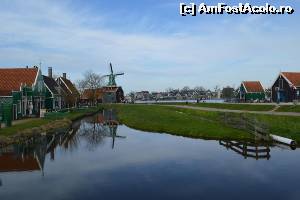 [P05] Zaanse Schans - » foto by makuy*
 - 
<span class="allrVoted glyphicon glyphicon-heart hidden" id="av623087"></span>
<a class="m-l-10 hidden" id="sv623087" onclick="voting_Foto_DelVot(,623087,3710)" role="button">șterge vot <span class="glyphicon glyphicon-remove"></span></a>
<a id="v9623087" class=" c-red"  onclick="voting_Foto_SetVot(623087)" role="button"><span class="glyphicon glyphicon-heart-empty"></span> <b>LIKE</b> = Votează poza</a> <img class="hidden"  id="f623087W9" src="/imagini/loader.gif" border="0" /><span class="AjErrMes hidden" id="e623087ErM"></span>