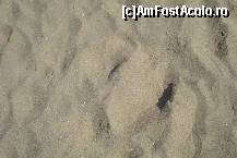 [P21] Nisipul fin si atat de cald si primitor de pe plaja din Scheveningen » foto by ileanaxperta*
 - 
<span class="allrVoted glyphicon glyphicon-heart hidden" id="av125457"></span>
<a class="m-l-10 hidden" id="sv125457" onclick="voting_Foto_DelVot(,125457,3710)" role="button">șterge vot <span class="glyphicon glyphicon-remove"></span></a>
<a id="v9125457" class=" c-red"  onclick="voting_Foto_SetVot(125457)" role="button"><span class="glyphicon glyphicon-heart-empty"></span> <b>LIKE</b> = Votează poza</a> <img class="hidden"  id="f125457W9" src="/imagini/loader.gif" border="0" /><span class="AjErrMes hidden" id="e125457ErM"></span>