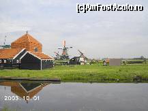 [P01] Primul contact cu Zaanse Schans, satul morilor de vânt » foto by Costi
 - 
<span class="allrVoted glyphicon glyphicon-heart hidden" id="av24417"></span>
<a class="m-l-10 hidden" id="sv24417" onclick="voting_Foto_DelVot(,24417,3710)" role="button">șterge vot <span class="glyphicon glyphicon-remove"></span></a>
<a id="v924417" class=" c-red"  onclick="voting_Foto_SetVot(24417)" role="button"><span class="glyphicon glyphicon-heart-empty"></span> <b>LIKE</b> = Votează poza</a> <img class="hidden"  id="f24417W9" src="/imagini/loader.gif" border="0" /><span class="AjErrMes hidden" id="e24417ErM"></span>