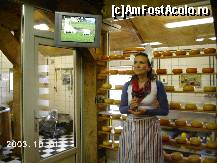 [P07] Iat-o şi pe olandeza care prezintă în engleză şi spaniolă procesul de fabricaţie a brânzei » foto by Costi
 - 
<span class="allrVoted glyphicon glyphicon-heart hidden" id="av24423"></span>
<a class="m-l-10 hidden" id="sv24423" onclick="voting_Foto_DelVot(,24423,3710)" role="button">șterge vot <span class="glyphicon glyphicon-remove"></span></a>
<a id="v924423" class=" c-red"  onclick="voting_Foto_SetVot(24423)" role="button"><span class="glyphicon glyphicon-heart-empty"></span> <b>LIKE</b> = Votează poza</a> <img class="hidden"  id="f24423W9" src="/imagini/loader.gif" border="0" /><span class="AjErrMes hidden" id="e24423ErM"></span>