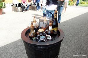 [P12] La degustarea tuturor tipurilor de acceto balsamico. Sticluta din prim-plan este cea care contine Acceto balsamico DOP. Aia e originalul-originalelor. Se vinde doar in acel model de sticla desenata de Giugiaro :)  » foto by georgetoader
 - 
<span class="allrVoted glyphicon glyphicon-heart hidden" id="av792643"></span>
<a class="m-l-10 hidden" id="sv792643" onclick="voting_Foto_DelVot(,792643,3721)" role="button">șterge vot <span class="glyphicon glyphicon-remove"></span></a>
<a id="v9792643" class=" c-red"  onclick="voting_Foto_SetVot(792643)" role="button"><span class="glyphicon glyphicon-heart-empty"></span> <b>LIKE</b> = Votează poza</a> <img class="hidden"  id="f792643W9" src="/imagini/loader.gif" border="0" /><span class="AjErrMes hidden" id="e792643ErM"></span>