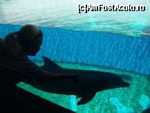 [P12] O vizita la Aquariu iti prilejuieste si o joaca cu delfinii » foto by cristidu
 - 
<span class="allrVoted glyphicon glyphicon-heart hidden" id="av293102"></span>
<a class="m-l-10 hidden" id="sv293102" onclick="voting_Foto_DelVot(,293102,3723)" role="button">șterge vot <span class="glyphicon glyphicon-remove"></span></a>
<a id="v9293102" class=" c-red"  onclick="voting_Foto_SetVot(293102)" role="button"><span class="glyphicon glyphicon-heart-empty"></span> <b>LIKE</b> = Votează poza</a> <img class="hidden"  id="f293102W9" src="/imagini/loader.gif" border="0" /><span class="AjErrMes hidden" id="e293102ErM"></span>