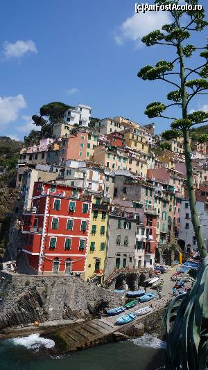 [P10] Pictural- Riomaggiore » foto by GIN2015*
 - 
<span class="allrVoted glyphicon glyphicon-heart hidden" id="av667116"></span>
<a class="m-l-10 hidden" id="sv667116" onclick="voting_Foto_DelVot(,667116,3723)" role="button">șterge vot <span class="glyphicon glyphicon-remove"></span></a>
<a id="v9667116" class=" c-red"  onclick="voting_Foto_SetVot(667116)" role="button"><span class="glyphicon glyphicon-heart-empty"></span> <b>LIKE</b> = Votează poza</a> <img class="hidden"  id="f667116W9" src="/imagini/loader.gif" border="0" /><span class="AjErrMes hidden" id="e667116ErM"></span>