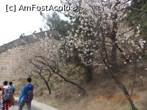 [P40] Badaling, Marele Zid, pe calea de coborâre » foto by mprofeanu
 - 
<span class="allrVoted glyphicon glyphicon-heart hidden" id="av823557"></span>
<a class="m-l-10 hidden" id="sv823557" onclick="voting_Foto_DelVot(,823557,3730)" role="button">șterge vot <span class="glyphicon glyphicon-remove"></span></a>
<a id="v9823557" class=" c-red"  onclick="voting_Foto_SetVot(823557)" role="button"><span class="glyphicon glyphicon-heart-empty"></span> <b>LIKE</b> = Votează poza</a> <img class="hidden"  id="f823557W9" src="/imagini/loader.gif" border="0" /><span class="AjErrMes hidden" id="e823557ErM"></span>