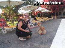 [P24] ne-am imprietenit, la marginea piscinei » foto by grecudoina
 - 
<span class="allrVoted glyphicon glyphicon-heart hidden" id="av399274"></span>
<a class="m-l-10 hidden" id="sv399274" onclick="voting_Foto_DelVot(,399274,3739)" role="button">șterge vot <span class="glyphicon glyphicon-remove"></span></a>
<a id="v9399274" class=" c-red"  onclick="voting_Foto_SetVot(399274)" role="button"><span class="glyphicon glyphicon-heart-empty"></span> <b>LIKE</b> = Votează poza</a> <img class="hidden"  id="f399274W9" src="/imagini/loader.gif" border="0" /><span class="AjErrMes hidden" id="e399274ErM"></span>