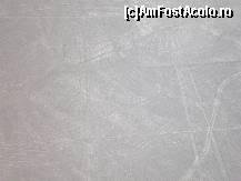 [P46] imagine ratata in incercarea de a prinde pasarea Flamingo, deja nu imi era prea bine si ecitam sa ma uit in camera » foto by grecudoina
 - 
<span class="allrVoted glyphicon glyphicon-heart hidden" id="av399296"></span>
<a class="m-l-10 hidden" id="sv399296" onclick="voting_Foto_DelVot(,399296,3739)" role="button">șterge vot <span class="glyphicon glyphicon-remove"></span></a>
<a id="v9399296" class=" c-red"  onclick="voting_Foto_SetVot(399296)" role="button"><span class="glyphicon glyphicon-heart-empty"></span> <b>LIKE</b> = Votează poza</a> <img class="hidden"  id="f399296W9" src="/imagini/loader.gif" border="0" /><span class="AjErrMes hidden" id="e399296ErM"></span>