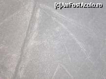 [P47] paianjenul, in partea de jos a imaginii » foto by grecudoina
 - 
<span class="allrVoted glyphicon glyphicon-heart hidden" id="av399297"></span>
<a class="m-l-10 hidden" id="sv399297" onclick="voting_Foto_DelVot(,399297,3739)" role="button">șterge vot <span class="glyphicon glyphicon-remove"></span></a>
<a id="v9399297" class=" c-red"  onclick="voting_Foto_SetVot(399297)" role="button"><span class="glyphicon glyphicon-heart-empty"></span> <b>LIKE</b> = Votează poza</a> <img class="hidden"  id="f399297W9" src="/imagini/loader.gif" border="0" /><span class="AjErrMes hidden" id="e399297ErM"></span>
