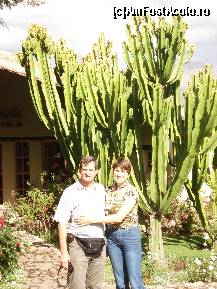 [P05] la umbra nucului , pardon.... scuzati, cactusului batran » foto by edith simon
 - 
<span class="allrVoted glyphicon glyphicon-heart hidden" id="av24968"></span>
<a class="m-l-10 hidden" id="sv24968" onclick="voting_Foto_DelVot(,24968,3739)" role="button">șterge vot <span class="glyphicon glyphicon-remove"></span></a>
<a id="v924968" class=" c-red"  onclick="voting_Foto_SetVot(24968)" role="button"><span class="glyphicon glyphicon-heart-empty"></span> <b>LIKE</b> = Votează poza</a> <img class="hidden"  id="f24968W9" src="/imagini/loader.gif" border="0" /><span class="AjErrMes hidden" id="e24968ErM"></span>