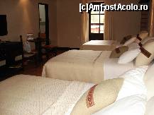 [P06] modesta si austera noastra camera de hotel,si totusi nu am aflat nici acum dece a trebuit sa ne cazeze (2 persoane) intr-o camera cu 3 paturi? asa se procedeaza oare cu 'VIP-urile'?! » foto by edith simon
 - 
<span class="allrVoted glyphicon glyphicon-heart hidden" id="av24970"></span>
<a class="m-l-10 hidden" id="sv24970" onclick="voting_Foto_DelVot(,24970,3739)" role="button">șterge vot <span class="glyphicon glyphicon-remove"></span></a>
<a id="v924970" class=" c-red"  onclick="voting_Foto_SetVot(24970)" role="button"><span class="glyphicon glyphicon-heart-empty"></span> <b>LIKE</b> = Votează poza</a> <img class="hidden"  id="f24970W9" src="/imagini/loader.gif" border="0" /><span class="AjErrMes hidden" id="e24970ErM"></span>