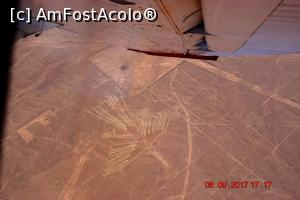 [P10] Condorul - alaturi de colibri, cele mai spectaculoase in opinia mea » foto by Pușcașu Marin
 - 
<span class="allrVoted glyphicon glyphicon-heart hidden" id="av916943"></span>
<a class="m-l-10 hidden" id="sv916943" onclick="voting_Foto_DelVot(,916943,3739)" role="button">șterge vot <span class="glyphicon glyphicon-remove"></span></a>
<a id="v9916943" class=" c-red"  onclick="voting_Foto_SetVot(916943)" role="button"><span class="glyphicon glyphicon-heart-empty"></span> <b>LIKE</b> = Votează poza</a> <img class="hidden"  id="f916943W9" src="/imagini/loader.gif" border="0" /><span class="AjErrMes hidden" id="e916943ErM"></span>