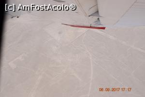 [P11] Condorul - poza needitata - si totusi din avion se vedeau mai bine, dar cred ca trebuiau alte setari la camera » foto by Pușcașu Marin
 - 
<span class="allrVoted glyphicon glyphicon-heart hidden" id="av916944"></span>
<a class="m-l-10 hidden" id="sv916944" onclick="voting_Foto_DelVot(,916944,3739)" role="button">șterge vot <span class="glyphicon glyphicon-remove"></span></a>
<a id="v9916944" class=" c-red"  onclick="voting_Foto_SetVot(916944)" role="button"><span class="glyphicon glyphicon-heart-empty"></span> <b>LIKE</b> = Votează poza</a> <img class="hidden"  id="f916944W9" src="/imagini/loader.gif" border="0" /><span class="AjErrMes hidden" id="e916944ErM"></span>