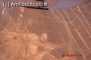 [P16] Floarea - primul geoglif bonus oferit de piloti » foto by Pușcașu Marin
 - 
<span class="allrVoted glyphicon glyphicon-heart hidden" id="av916949"></span>
<a class="m-l-10 hidden" id="sv916949" onclick="voting_Foto_DelVot(,916949,3739)" role="button">șterge vot <span class="glyphicon glyphicon-remove"></span></a>
<a id="v9916949" class=" c-red"  onclick="voting_Foto_SetVot(916949)" role="button"><span class="glyphicon glyphicon-heart-empty"></span> <b>LIKE</b> = Votează poza</a> <img class="hidden"  id="f916949W9" src="/imagini/loader.gif" border="0" /><span class="AjErrMes hidden" id="e916949ErM"></span>