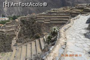 [P16] Cam ingusta poteca, dar cine se uita la ea?  » foto by Pușcașu Marin
 - 
<span class="allrVoted glyphicon glyphicon-heart hidden" id="av922711"></span>
<a class="m-l-10 hidden" id="sv922711" onclick="voting_Foto_DelVot(,922711,3739)" role="button">șterge vot <span class="glyphicon glyphicon-remove"></span></a>
<a id="v9922711" class=" c-red"  onclick="voting_Foto_SetVot(922711)" role="button"><span class="glyphicon glyphicon-heart-empty"></span> <b>LIKE</b> = Votează poza</a> <img class="hidden"  id="f922711W9" src="/imagini/loader.gif" border="0" /><span class="AjErrMes hidden" id="e922711ErM"></span>