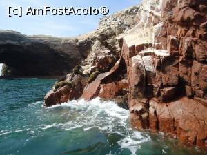 [P03] lei de mare in Islas Ballestas » foto by buterfly*
 - 
<span class="allrVoted glyphicon glyphicon-heart hidden" id="av810830"></span>
<a class="m-l-10 hidden" id="sv810830" onclick="voting_Foto_DelVot(,810830,3739)" role="button">șterge vot <span class="glyphicon glyphicon-remove"></span></a>
<a id="v9810830" class=" c-red"  onclick="voting_Foto_SetVot(810830)" role="button"><span class="glyphicon glyphicon-heart-empty"></span> <b>LIKE</b> = Votează poza</a> <img class="hidden"  id="f810830W9" src="/imagini/loader.gif" border="0" /><span class="AjErrMes hidden" id="e810830ErM"></span>