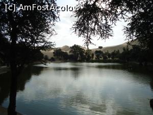 [P10] lacul care tine vie oaza » foto by buterfly*
 - 
<span class="allrVoted glyphicon glyphicon-heart hidden" id="av814793"></span>
<a class="m-l-10 hidden" id="sv814793" onclick="voting_Foto_DelVot(,814793,3739)" role="button">șterge vot <span class="glyphicon glyphicon-remove"></span></a>
<a id="v9814793" class=" c-red"  onclick="voting_Foto_SetVot(814793)" role="button"><span class="glyphicon glyphicon-heart-empty"></span> <b>LIKE</b> = Votează poza</a> <img class="hidden"  id="f814793W9" src="/imagini/loader.gif" border="0" /><span class="AjErrMes hidden" id="e814793ErM"></span>
