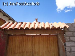 [P02] torito privind de pe poarta » foto by buterfly*
 - 
<span class="allrVoted glyphicon glyphicon-heart hidden" id="av819295"></span>
<a class="m-l-10 hidden" id="sv819295" onclick="voting_Foto_DelVot(,819295,3739)" role="button">șterge vot <span class="glyphicon glyphicon-remove"></span></a>
<a id="v9819295" class=" c-red"  onclick="voting_Foto_SetVot(819295)" role="button"><span class="glyphicon glyphicon-heart-empty"></span> <b>LIKE</b> = Votează poza</a> <img class="hidden"  id="f819295W9" src="/imagini/loader.gif" border="0" /><span class="AjErrMes hidden" id="e819295ErM"></span>