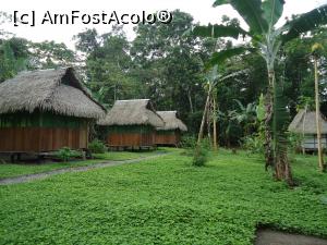 [P19] casutele ecologice din jungla » foto by buterfly*
 - 
<span class="allrVoted glyphicon glyphicon-heart hidden" id="av829186"></span>
<a class="m-l-10 hidden" id="sv829186" onclick="voting_Foto_DelVot(,829186,3739)" role="button">șterge vot <span class="glyphicon glyphicon-remove"></span></a>
<a id="v9829186" class=" c-red"  onclick="voting_Foto_SetVot(829186)" role="button"><span class="glyphicon glyphicon-heart-empty"></span> <b>LIKE</b> = Votează poza</a> <img class="hidden"  id="f829186W9" src="/imagini/loader.gif" border="0" /><span class="AjErrMes hidden" id="e829186ErM"></span>