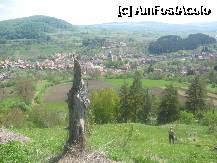 [P10] O panorama incantatoare a satului Saschiz alaturi de un arbore pregatit, poate de insusi domnitorul Vlad Tepes, in eventualitatea unei invazii turcesti » foto by dorgo
 - 
<span class="allrVoted glyphicon glyphicon-heart hidden" id="av199520"></span>
<a class="m-l-10 hidden" id="sv199520" onclick="voting_Foto_DelVot(,199520,3750)" role="button">șterge vot <span class="glyphicon glyphicon-remove"></span></a>
<a id="v9199520" class=" c-red"  onclick="voting_Foto_SetVot(199520)" role="button"><span class="glyphicon glyphicon-heart-empty"></span> <b>LIKE</b> = Votează poza</a> <img class="hidden"  id="f199520W9" src="/imagini/loader.gif" border="0" /><span class="AjErrMes hidden" id="e199520ErM"></span>