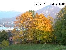 [P19] Annecy » foto by ioana22
 - 
<span class="allrVoted glyphicon glyphicon-heart hidden" id="av184138"></span>
<a class="m-l-10 hidden" id="sv184138" onclick="voting_Foto_DelVot(,184138,3760)" role="button">șterge vot <span class="glyphicon glyphicon-remove"></span></a>
<a id="v9184138" class=" c-red"  onclick="voting_Foto_SetVot(184138)" role="button"><span class="glyphicon glyphicon-heart-empty"></span> <b>LIKE</b> = Votează poza</a> <img class="hidden"  id="f184138W9" src="/imagini/loader.gif" border="0" /><span class="AjErrMes hidden" id="e184138ErM"></span>