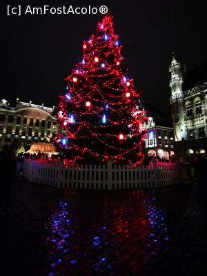 [P62] Bradul din Grand Place » foto by cata2106
 - 
<span class="allrVoted glyphicon glyphicon-heart hidden" id="av1269794"></span>
<a class="m-l-10 hidden" id="sv1269794" onclick="voting_Foto_DelVot(,1269794,3768)" role="button">șterge vot <span class="glyphicon glyphicon-remove"></span></a>
<a id="v91269794" class=" c-red"  onclick="voting_Foto_SetVot(1269794)" role="button"><span class="glyphicon glyphicon-heart-empty"></span> <b>LIKE</b> = Votează poza</a> <img class="hidden"  id="f1269794W9" src="/imagini/loader.gif" border="0" /><span class="AjErrMes hidden" id="e1269794ErM"></span>