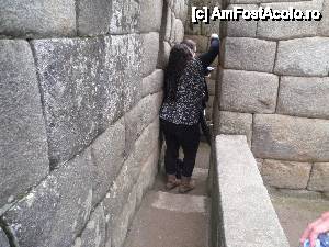 [P19] culua rul care duce din dormitor la baie » foto by grecudoina
 - 
<span class="allrVoted glyphicon glyphicon-heart hidden" id="av399808"></span>
<a class="m-l-10 hidden" id="sv399808" onclick="voting_Foto_DelVot(,399808,3773)" role="button">șterge vot <span class="glyphicon glyphicon-remove"></span></a>
<a id="v9399808" class=" c-red"  onclick="voting_Foto_SetVot(399808)" role="button"><span class="glyphicon glyphicon-heart-empty"></span> <b>LIKE</b> = Votează poza</a> <img class="hidden"  id="f399808W9" src="/imagini/loader.gif" border="0" /><span class="AjErrMes hidden" id="e399808ErM"></span>