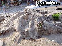 [P15] un fost pom falnic si atat de vechi, daca ar putea vorbi ce povesti fascinante am afla. Iubiri patimase si poate interzise, fapte marete de vitejie dar ...tace » foto by roth
 - 
<span class="allrVoted glyphicon glyphicon-heart hidden" id="av255004"></span>
<a class="m-l-10 hidden" id="sv255004" onclick="voting_Foto_DelVot(,255004,3774)" role="button">șterge vot <span class="glyphicon glyphicon-remove"></span></a>
<a id="v9255004" class=" c-red"  onclick="voting_Foto_SetVot(255004)" role="button"><span class="glyphicon glyphicon-heart-empty"></span> <b>LIKE</b> = Votează poza</a> <img class="hidden"  id="f255004W9" src="/imagini/loader.gif" border="0" /><span class="AjErrMes hidden" id="e255004ErM"></span>