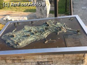 [P04] Harta cu principalele obiective de vizitat din Old Nesebar » foto by Yersinia Pestis
 - 
<span class="allrVoted glyphicon glyphicon-heart hidden" id="av1244890"></span>
<a class="m-l-10 hidden" id="sv1244890" onclick="voting_Foto_DelVot(,1244890,3774)" role="button">șterge vot <span class="glyphicon glyphicon-remove"></span></a>
<a id="v91244890" class=" c-red"  onclick="voting_Foto_SetVot(1244890)" role="button"><span class="glyphicon glyphicon-heart-empty"></span> <b>LIKE</b> = Votează poza</a> <img class="hidden"  id="f1244890W9" src="/imagini/loader.gif" border="0" /><span class="AjErrMes hidden" id="e1244890ErM"></span>