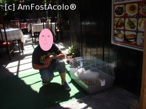 [P19] Patronii de terase sau restaurante înceacă să-şi atragă muşterii în fel şi chip... chiar şi cu iepuraşi...  » foto by kelyboy
 - 
<span class="allrVoted glyphicon glyphicon-heart hidden" id="av721500"></span>
<a class="m-l-10 hidden" id="sv721500" onclick="voting_Foto_DelVot(,721500,3774)" role="button">șterge vot <span class="glyphicon glyphicon-remove"></span></a>
<a id="v9721500" class=" c-red"  onclick="voting_Foto_SetVot(721500)" role="button"><span class="glyphicon glyphicon-heart-empty"></span> <b>LIKE</b> = Votează poza</a> <img class="hidden"  id="f721500W9" src="/imagini/loader.gif" border="0" /><span class="AjErrMes hidden" id="e721500ErM"></span>