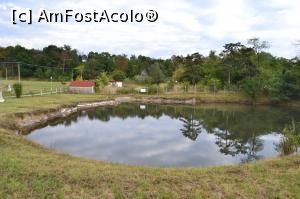 [P14] Lacul fara Fund » foto by AZE
 - 
<span class="allrVoted glyphicon glyphicon-heart hidden" id="av795924"></span>
<a class="m-l-10 hidden" id="sv795924" onclick="voting_Foto_DelVot(,795924,3791)" role="button">șterge vot <span class="glyphicon glyphicon-remove"></span></a>
<a id="v9795924" class=" c-red"  onclick="voting_Foto_SetVot(795924)" role="button"><span class="glyphicon glyphicon-heart-empty"></span> <b>LIKE</b> = Votează poza</a> <img class="hidden"  id="f795924W9" src="/imagini/loader.gif" border="0" /><span class="AjErrMes hidden" id="e795924ErM"></span>