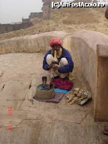 [P14] Jaipur-in drum spre Amer Fort » foto by andromeda
 - 
<span class="allrVoted glyphicon glyphicon-heart hidden" id="av322541"></span>
<a class="m-l-10 hidden" id="sv322541" onclick="voting_Foto_DelVot(,322541,3794)" role="button">șterge vot <span class="glyphicon glyphicon-remove"></span></a>
<a id="v9322541" class=" c-red"  onclick="voting_Foto_SetVot(322541)" role="button"><span class="glyphicon glyphicon-heart-empty"></span> <b>LIKE</b> = Votează poza</a> <img class="hidden"  id="f322541W9" src="/imagini/loader.gif" border="0" /><span class="AjErrMes hidden" id="e322541ErM"></span>