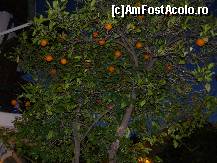 [P01]  -- <small>// FĂRĂ DESCRIERE</small> » foto by Dum*
 - 
<span class="allrVoted glyphicon glyphicon-heart hidden" id="av97907"></span>
<a class="m-l-10 hidden" id="sv97907" onclick="voting_Foto_DelVot(,97907,3806)" role="button">șterge vot <span class="glyphicon glyphicon-remove"></span></a>
<a id="v997907" class=" c-red"  onclick="voting_Foto_SetVot(97907)" role="button"><span class="glyphicon glyphicon-heart-empty"></span> <b>LIKE</b> = Votează poza</a> <img class="hidden"  id="f97907W9" src="/imagini/loader.gif" border="0" /><span class="AjErrMes hidden" id="e97907ErM"></span>