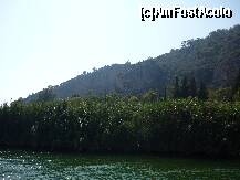 [P20] Pe lacul Gocek. » foto by octaviansz
 - 
<span class="allrVoted glyphicon glyphicon-heart hidden" id="av213957"></span>
<a class="m-l-10 hidden" id="sv213957" onclick="voting_Foto_DelVot(,213957,3806)" role="button">șterge vot <span class="glyphicon glyphicon-remove"></span></a>
<a id="v9213957" class=" c-red"  onclick="voting_Foto_SetVot(213957)" role="button"><span class="glyphicon glyphicon-heart-empty"></span> <b>LIKE</b> = Votează poza</a> <img class="hidden"  id="f213957W9" src="/imagini/loader.gif" border="0" /><span class="AjErrMes hidden" id="e213957ErM"></span>