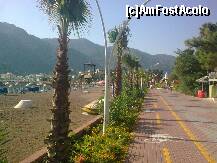 [P03] Faleza şi plaja de la Içmeler, din dreptul hotelului Fantasia » foto by Aeerdna*
 - 
<span class="allrVoted glyphicon glyphicon-heart hidden" id="av264005"></span>
<a class="m-l-10 hidden" id="sv264005" onclick="voting_Foto_DelVot(,264005,3806)" role="button">șterge vot <span class="glyphicon glyphicon-remove"></span></a>
<a id="v9264005" class=" c-red"  onclick="voting_Foto_SetVot(264005)" role="button"><span class="glyphicon glyphicon-heart-empty"></span> <b>LIKE</b> = Votează poza</a> <img class="hidden"  id="f264005W9" src="/imagini/loader.gif" border="0" /><span class="AjErrMes hidden" id="e264005ErM"></span>