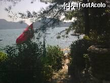 [P49] Alt detaliu » foto by Aeerdna*
 - 
<span class="allrVoted glyphicon glyphicon-heart hidden" id="av264122"></span>
<a class="m-l-10 hidden" id="sv264122" onclick="voting_Foto_DelVot(,264122,3806)" role="button">șterge vot <span class="glyphicon glyphicon-remove"></span></a>
<a id="v9264122" class=" c-red"  onclick="voting_Foto_SetVot(264122)" role="button"><span class="glyphicon glyphicon-heart-empty"></span> <b>LIKE</b> = Votează poza</a> <img class="hidden"  id="f264122W9" src="/imagini/loader.gif" border="0" /><span class="AjErrMes hidden" id="e264122ErM"></span>