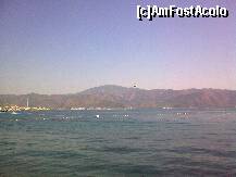 [P53] Detaliu mare » foto by Aeerdna*
 - 
<span class="allrVoted glyphicon glyphicon-heart hidden" id="av264126"></span>
<a class="m-l-10 hidden" id="sv264126" onclick="voting_Foto_DelVot(,264126,3806)" role="button">șterge vot <span class="glyphicon glyphicon-remove"></span></a>
<a id="v9264126" class=" c-red"  onclick="voting_Foto_SetVot(264126)" role="button"><span class="glyphicon glyphicon-heart-empty"></span> <b>LIKE</b> = Votează poza</a> <img class="hidden"  id="f264126W9" src="/imagini/loader.gif" border="0" /><span class="AjErrMes hidden" id="e264126ErM"></span>
