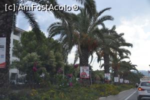 [P10] In Marmaris, cautand hotelul. De observat " verdeata"  » foto by Dorina9
 - 
<span class="allrVoted glyphicon glyphicon-heart hidden" id="av1153148"></span>
<a class="m-l-10 hidden" id="sv1153148" onclick="voting_Foto_DelVot(,1153148,3806)" role="button">șterge vot <span class="glyphicon glyphicon-remove"></span></a>
<a id="v91153148" class=" c-red"  onclick="voting_Foto_SetVot(1153148)" role="button"><span class="glyphicon glyphicon-heart-empty"></span> <b>LIKE</b> = Votează poza</a> <img class="hidden"  id="f1153148W9" src="/imagini/loader.gif" border="0" /><span class="AjErrMes hidden" id="e1153148ErM"></span>