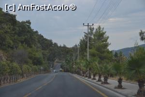 [P08] Marmaris, un oras" verde" , cu multe parcuri si spatii verzi » foto by Dorina9
 - 
<span class="allrVoted glyphicon glyphicon-heart hidden" id="av1153146"></span>
<a class="m-l-10 hidden" id="sv1153146" onclick="voting_Foto_DelVot(,1153146,3806)" role="button">șterge vot <span class="glyphicon glyphicon-remove"></span></a>
<a id="v91153146" class=" c-red"  onclick="voting_Foto_SetVot(1153146)" role="button"><span class="glyphicon glyphicon-heart-empty"></span> <b>LIKE</b> = Votează poza</a> <img class="hidden"  id="f1153146W9" src="/imagini/loader.gif" border="0" /><span class="AjErrMes hidden" id="e1153146ErM"></span>