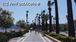 [P55] La plimbare pe promenada cu palmieri » foto by irinad
 - 
<span class="allrVoted glyphicon glyphicon-heart hidden" id="av1005093"></span>
<a class="m-l-10 hidden" id="sv1005093" onclick="voting_Foto_DelVot(,1005093,3806)" role="button">șterge vot <span class="glyphicon glyphicon-remove"></span></a>
<a id="v91005093" class=" c-red"  onclick="voting_Foto_SetVot(1005093)" role="button"><span class="glyphicon glyphicon-heart-empty"></span> <b>LIKE</b> = Votează poza</a> <img class="hidden"  id="f1005093W9" src="/imagini/loader.gif" border="0" /><span class="AjErrMes hidden" id="e1005093ErM"></span>