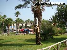 [P13] parcul de langa piateta centrala » foto by damiza
 - 
<span class="allrVoted glyphicon glyphicon-heart hidden" id="av88355"></span>
<a class="m-l-10 hidden" id="sv88355" onclick="voting_Foto_DelVot(,88355,3806)" role="button">șterge vot <span class="glyphicon glyphicon-remove"></span></a>
<a id="v988355" class=" c-red"  onclick="voting_Foto_SetVot(88355)" role="button"><span class="glyphicon glyphicon-heart-empty"></span> <b>LIKE</b> = Votează poza</a> <img class="hidden"  id="f88355W9" src="/imagini/loader.gif" border="0" /><span class="AjErrMes hidden" id="e88355ErM"></span>