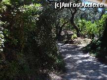 [P11] Am mers cu trenuletul pe o carare atat de ingusta printre maslini » foto by ionescunic
 - 
<span class="allrVoted glyphicon glyphicon-heart hidden" id="av131752"></span>
<a class="m-l-10 hidden" id="sv131752" onclick="voting_Foto_DelVot(,131752,3807)" role="button">șterge vot <span class="glyphicon glyphicon-remove"></span></a>
<a id="v9131752" class=" c-red"  onclick="voting_Foto_SetVot(131752)" role="button"><span class="glyphicon glyphicon-heart-empty"></span> <b>LIKE</b> = Votează poza</a> <img class="hidden"  id="f131752W9" src="/imagini/loader.gif" border="0" /><span class="AjErrMes hidden" id="e131752ErM"></span>