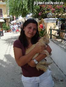 [P07] doua pisicute » foto by cosminrusea
 - 
<span class="allrVoted glyphicon glyphicon-heart hidden" id="av100879"></span>
<a class="m-l-10 hidden" id="sv100879" onclick="voting_Foto_DelVot(,100879,3807)" role="button">șterge vot <span class="glyphicon glyphicon-remove"></span></a>
<a id="v9100879" class=" c-red"  onclick="voting_Foto_SetVot(100879)" role="button"><span class="glyphicon glyphicon-heart-empty"></span> <b>LIKE</b> = Votează poza</a> <img class="hidden"  id="f100879W9" src="/imagini/loader.gif" border="0" /><span class="AjErrMes hidden" id="e100879ErM"></span>