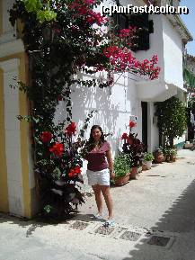 [P08]  -- <small>// FĂRĂ DESCRIERE</small> » foto by cosminrusea
 - 
<span class="allrVoted glyphicon glyphicon-heart hidden" id="av100883"></span>
<a class="m-l-10 hidden" id="sv100883" onclick="voting_Foto_DelVot(,100883,3807)" role="button">șterge vot <span class="glyphicon glyphicon-remove"></span></a>
<a id="v9100883" class=" c-red"  onclick="voting_Foto_SetVot(100883)" role="button"><span class="glyphicon glyphicon-heart-empty"></span> <b>LIKE</b> = Votează poza</a> <img class="hidden"  id="f100883W9" src="/imagini/loader.gif" border="0" /><span class="AjErrMes hidden" id="e100883ErM"></span>