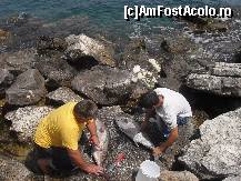 [P05] In port,in  insula Paxos,pescarii harnici! » foto by georgiana
 - 
<span class="allrVoted glyphicon glyphicon-heart hidden" id="av267420"></span>
<a class="m-l-10 hidden" id="sv267420" onclick="voting_Foto_DelVot(,267420,3807)" role="button">șterge vot <span class="glyphicon glyphicon-remove"></span></a>
<a id="v9267420" class=" c-red"  onclick="voting_Foto_SetVot(267420)" role="button"><span class="glyphicon glyphicon-heart-empty"></span> <b>LIKE</b> = Votează poza</a> <img class="hidden"  id="f267420W9" src="/imagini/loader.gif" border="0" /><span class="AjErrMes hidden" id="e267420ErM"></span>