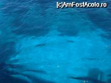 [P10x] Si apa din Antipaxos, de o claritate care m-am facut sa-mi inchipui un 'chip' de fata in apa (imaginatie bogata, la o asemenea excursie incepi sa vezi...) » foto by ileanaxperta*
 - 
<span class="allrVoted glyphicon glyphicon-heart hidden" id="av26244"></span>
<a class="m-l-10 hidden" id="sv26244" onclick="voting_Foto_DelVot(,26244,3807)" role="button">șterge vot <span class="glyphicon glyphicon-remove"></span></a>
<a id="v926244" class=" c-red"  onclick="voting_Foto_SetVot(26244)" role="button"><span class="glyphicon glyphicon-heart-empty"></span> <b>LIKE</b> = Votează poza</a> <img class="hidden"  id="f26244W9" src="/imagini/loader.gif" border="0" /><span class="AjErrMes hidden" id="e26244ErM"></span>