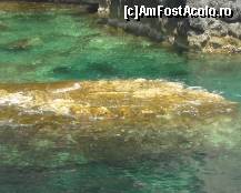 [P20]  -- <small>// FĂRĂ DESCRIERE</small> » foto by Sorinakis
 - 
<span class="allrVoted glyphicon glyphicon-heart hidden" id="av331628"></span>
<a class="m-l-10 hidden" id="sv331628" onclick="voting_Foto_DelVot(,331628,3807)" role="button">șterge vot <span class="glyphicon glyphicon-remove"></span></a>
<a id="v9331628" class=" c-red"  onclick="voting_Foto_SetVot(331628)" role="button"><span class="glyphicon glyphicon-heart-empty"></span> <b>LIKE</b> = Votează poza</a> <img class="hidden"  id="f331628W9" src="/imagini/loader.gif" border="0" /><span class="AjErrMes hidden" id="e331628ErM"></span>