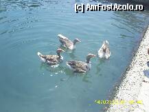 [P17] In portul din Paxos » foto by Andrew22*
 - 
<span class="allrVoted glyphicon glyphicon-heart hidden" id="av102778"></span>
<a class="m-l-10 hidden" id="sv102778" onclick="voting_Foto_DelVot(,102778,3807)" role="button">șterge vot <span class="glyphicon glyphicon-remove"></span></a>
<a id="v9102778" class=" c-red"  onclick="voting_Foto_SetVot(102778)" role="button"><span class="glyphicon glyphicon-heart-empty"></span> <b>LIKE</b> = Votează poza</a> <img class="hidden"  id="f102778W9" src="/imagini/loader.gif" border="0" /><span class="AjErrMes hidden" id="e102778ErM"></span>